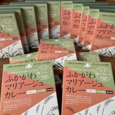 ふかがわマリアージュカレー 15個入り