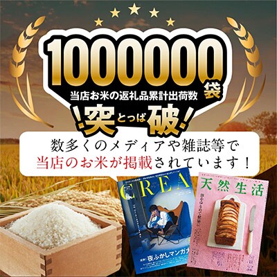 【毎月定期便】北海道深川産 ゆめぴりか 10kg(5kg×2袋) 五つ星お米マイスター監修全9回