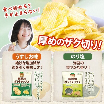 純国産 ポテトチップス うすしお味 のり塩 各12袋