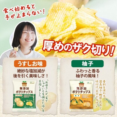 純国産 ポテトチップス うすしお味 柚子 各12袋