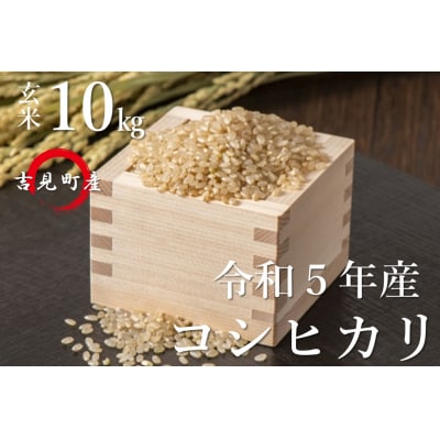 [令和5年産]埼玉県比企郡吉見町産 コシヒカリ 【玄米】 10kg