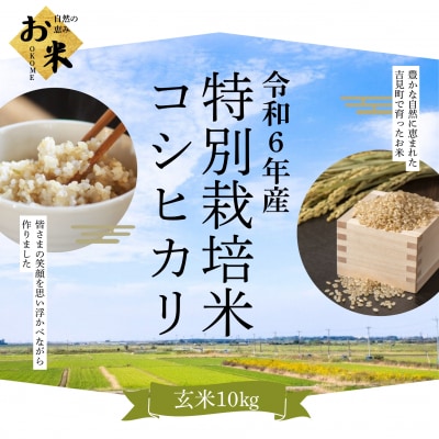 [令和6年産]埼玉県比企郡吉見町産 特別栽培米コシヒカリ 【玄米】 10kg