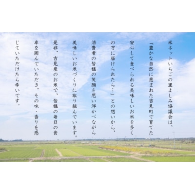 [令和6年産]埼玉県比企郡吉見町産 特別栽培米コシヒカリ 【玄米】 10kg