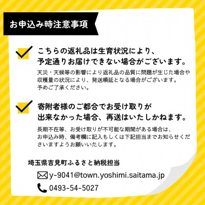 特選「吉見いちご」【とちおとめ】