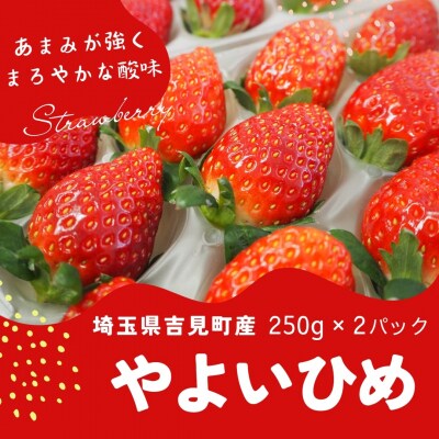 特選「吉見いちご」【やよいひめ】