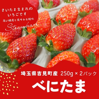 特選「吉見いちご」【べにたま】