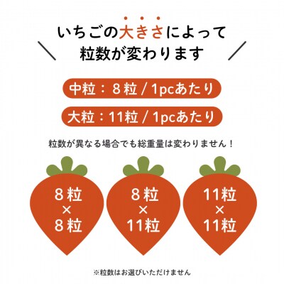 埼玉県吉見町 吉見いちご【特撰】あまりん 3L規格以上・2パック|産地直送 