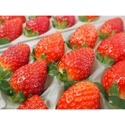 特選「吉見いちご」【あまりん】