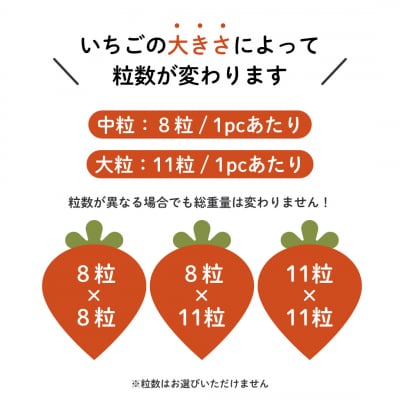 埼玉県吉見町 吉見いちご【特撰】品種おまかせ 3L規格以上・2パック|産地直送