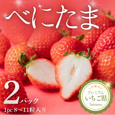 埼玉県吉見町 吉見いちご【べにたま】2パック|ブランドいちご 産地直送