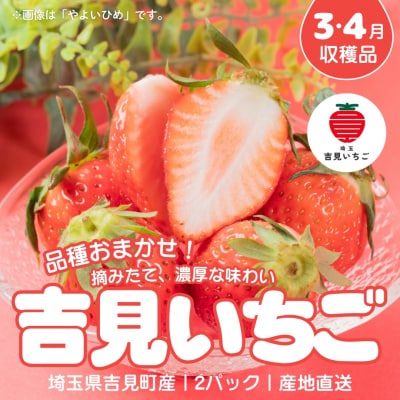 【3～4月収穫分】埼玉県吉見町 吉見いちご【品種おまかせ】2パック|いちご 産地直送