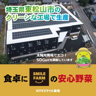 【栽培期間中農薬不使用】洗わず食べられる!フリルレタス 100g程度 個包装×8個