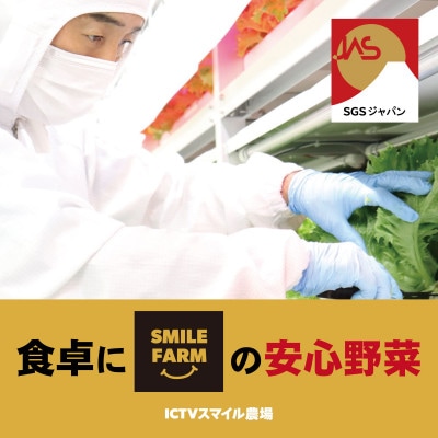 【栽培期間中農薬不使用】洗わず食べられる!レタス3種 [1kg]※10株程度