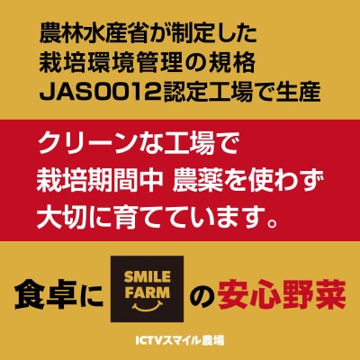 【栽培期間中農薬不使用】洗わず食べられる!レタス3種 [1kg]※10株程度