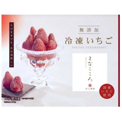 【とちおとめ】まなこころ　冷凍いちご (1kg×1袋)