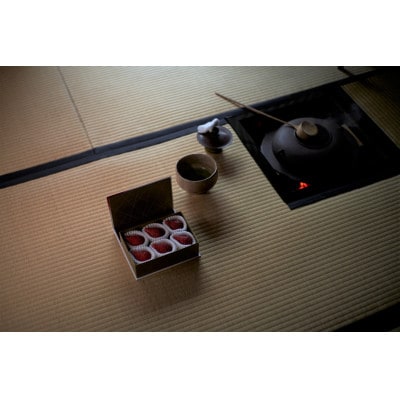 【とちおとめ】　特別厳選　まなこころ　彩(あや)6粒×1箱