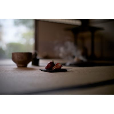 【とちおとめ】　厳選いちご　まなこころ　葵(あおい)2パック