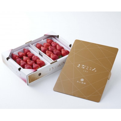 ★先行予約★期間限定【べにたま】厳選苺(いちご) まなこころ 楓 2パック(560g)