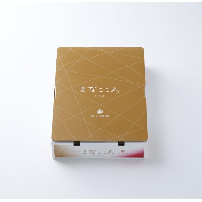 ★先行予約★期間限定【べにたま】厳選苺(いちご) まなこころ 楓 2パック(560g)