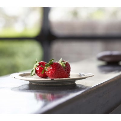 ★先行予約★期間限定【べにたま】厳選苺(いちご) まなこころ 楓 2パック(560g)