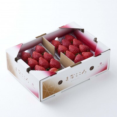 ★先行予約★期間限定【べにたま】厳選苺(いちご) まなこころ 葵 2パック(520g)
