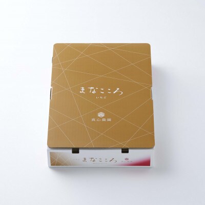 ★先行予約★期間限定【とちおとめ】厳選苺(いちご) まなこころ 楓 2パック(560g)