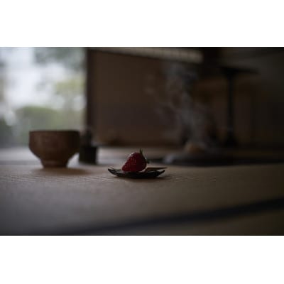 ★先行予約★ 期間限定【とちおとめ】特別厳選苺(いちご) まなこころ 彩 6粒×1箱 贈答用