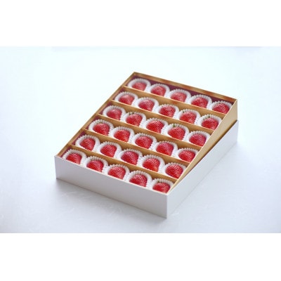 ★先行予約★ 期間限定【とちおとめ】特別贈答用苺(いちご) まなこころ 煌 1箱(850g)