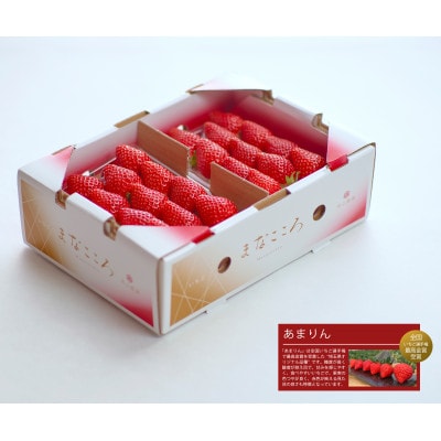 ★先行予約★期間限定【あまりん】厳選苺(いちご) まなこころ 葵 2パック(520g)