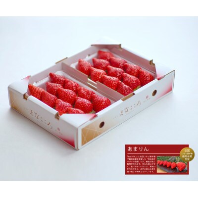 ★先行予約★期間限定【あまりん】厳選苺(いちご)まなこころ 楓 2パック(560g)