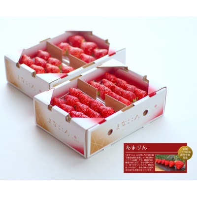★先行予約★期間限定【あまりん】厳選苺(いちご) まなこころ 葵 4パック(1040g)