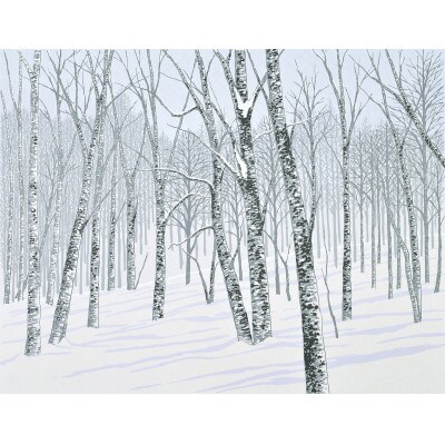 「静雪」茶額