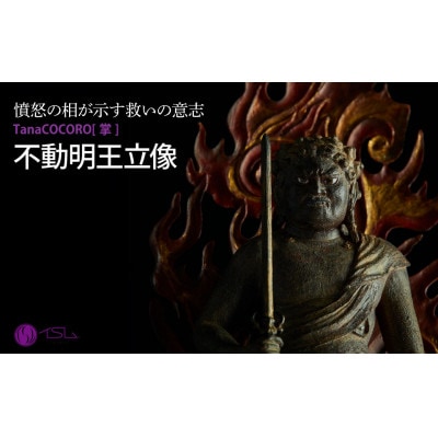 TanaCOCORO[掌] 不動明王立像