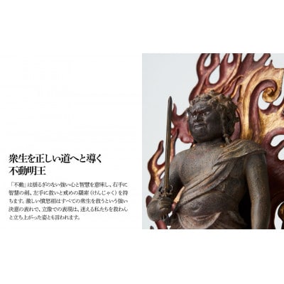 TanaCOCORO[掌] 不動明王立像