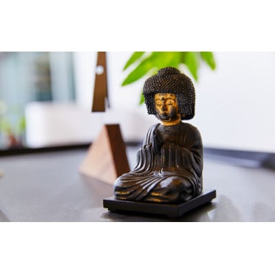 TanaCOCORO[掌] 五劫思惟阿弥陀