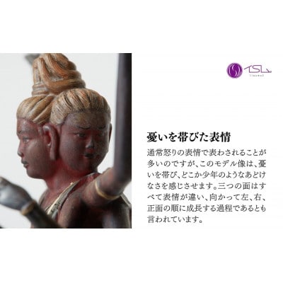 TanaCOCORO[掌] 阿修羅