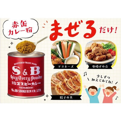 【最短当日発送】エスビー食品 S&B カレー 84g 10個 赤缶 カレー粉