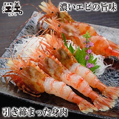 《2022年1月中旬より発送》江差近海産 希少な天然ガサエビ 500g