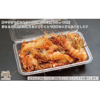 北海道産  希少な天然ガサエビ 500g