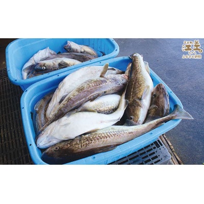 タラのフライ(2切入×3)