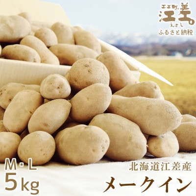 ★8月下旬～順次発送★しっとり甘い江差のメークイン M・L混合 5kg　北海道産じゃがいも