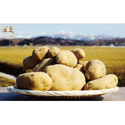 ★8月下旬～順次発送★しっとり甘い江差のメークイン M・L混合 10kg　北海道産じゃがいも