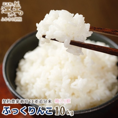 【令和7年新米先行予約】契約農家栽培 江差追分米『ふっくりんこ』【10kg】