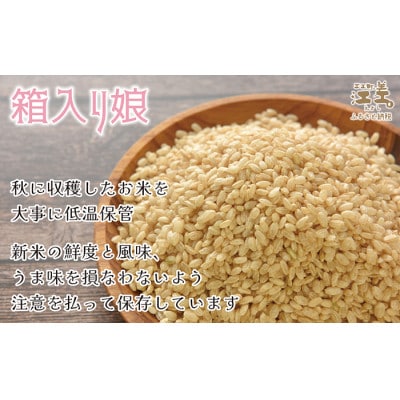 【令和7年新米先行予約】契約農家栽培 江差追分米『箱入り娘　ななつぼし』【5kg】