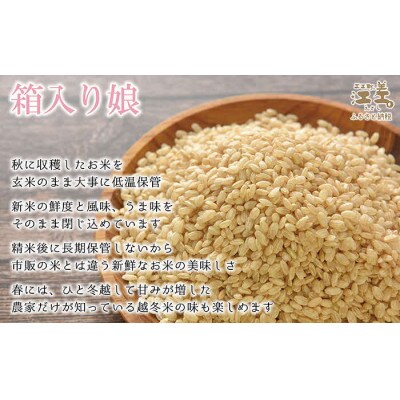 【令和6年産】玄米低温保管米『箱入り娘　ゆめぴりか』【10kg】契約農家栽培