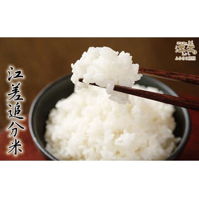 【令和6年産】玄米低温保管米『箱入り娘　ゆめぴりか』【10kg】契約農家栽培
