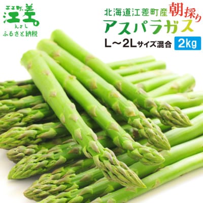 北海道江差町産 アスパラガス 2kg　L～2Lサイズ　朝採り農家直送
