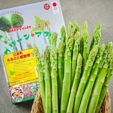 江差の大地で育った頭から食べるアスパラガス　1kg | ふるさと納税のお礼品