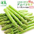 北海道江差町産 アスパラガス 1kg　L～2Lサイズ　朝採り農家直送