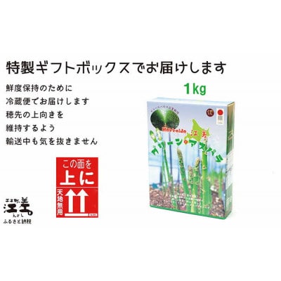 北海道江差町産 アスパラガス 1kg　L～2Lサイズ　朝採り農家直送